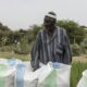 Au Sénégal, des poissons dans les rizières soignent les hommes et remplissent les greniers