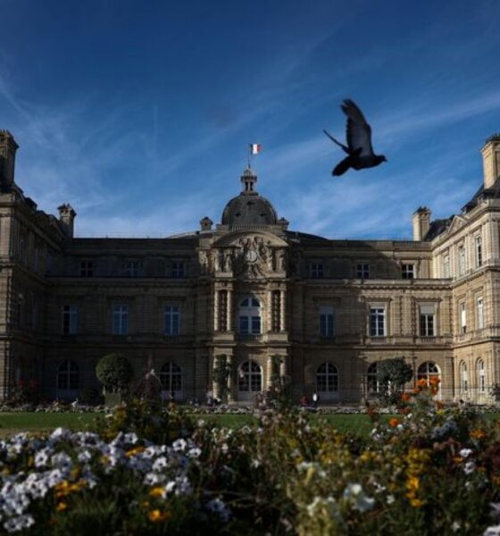 Le Sénat change de visage et le RN vise son premier vrai groupe