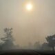 Fumées toxiques et canicules, quand l'air devient plus dur à respirer