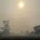 Fumées toxiques et canicules, quand l'air devient plus dur à respirer