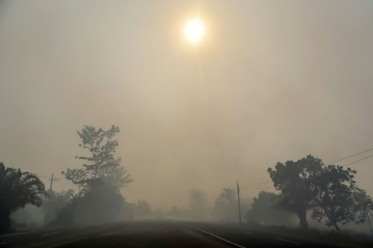 Fumées toxiques et canicules, quand l'air devient plus dur à respirer