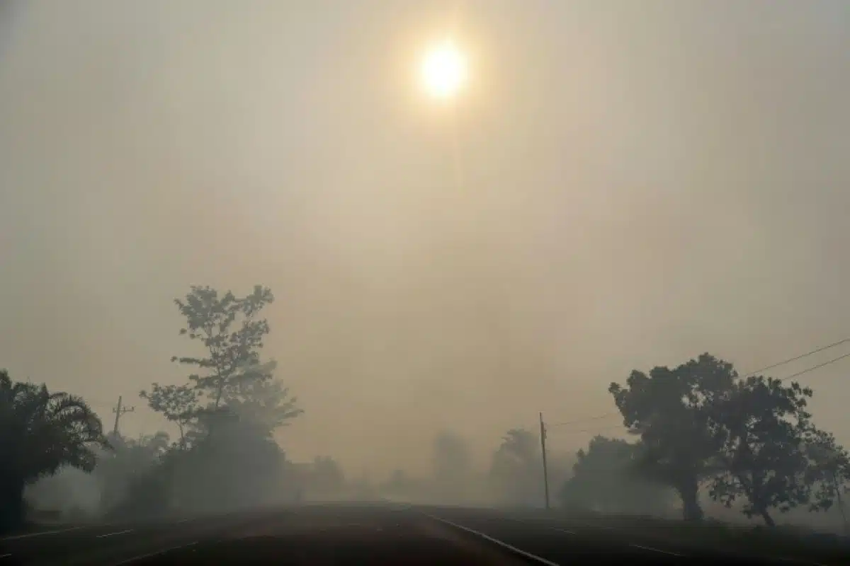 Fumées toxiques et canicules, quand l'air devient plus dur à respirer