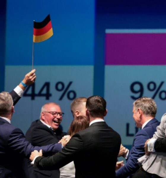 La poussée de l'AfD en Allemagne rebat les cartes françaises