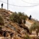 En Cisjordanie, ces jeunes colons qu'Israël n'arrive plus à freiner