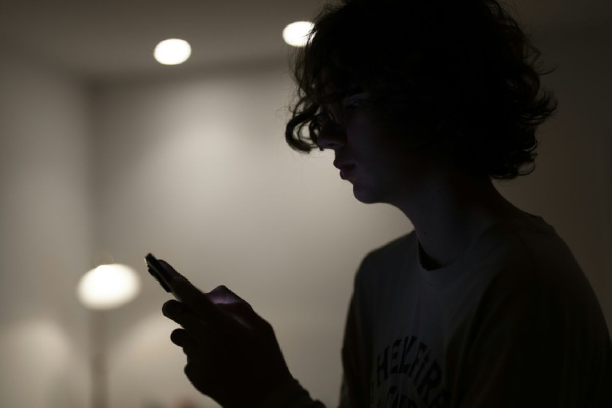 Pour protéger les ados, l'Estonie veut mettre les plateformes au pas