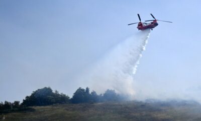 Dans la vallée d'Aspe, les crêtes partent en fumée sur 120 hectares