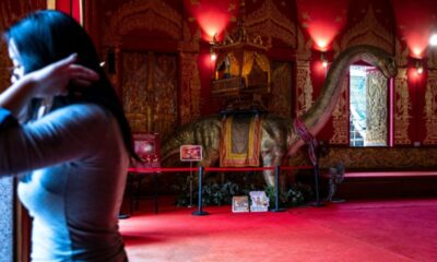 La Thaïlande exhume des dinosaures géants encore inconnus