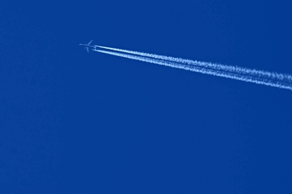 Le ciel blanchit sous les traînées des avions, et les compagnies avancent à petits pas