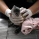 En Thaïlande, une poignée d'agents traque le trafic mondial d'animaux sauvages