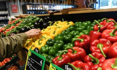 Le bio retrouve des couleurs et les agriculteurs reviennent