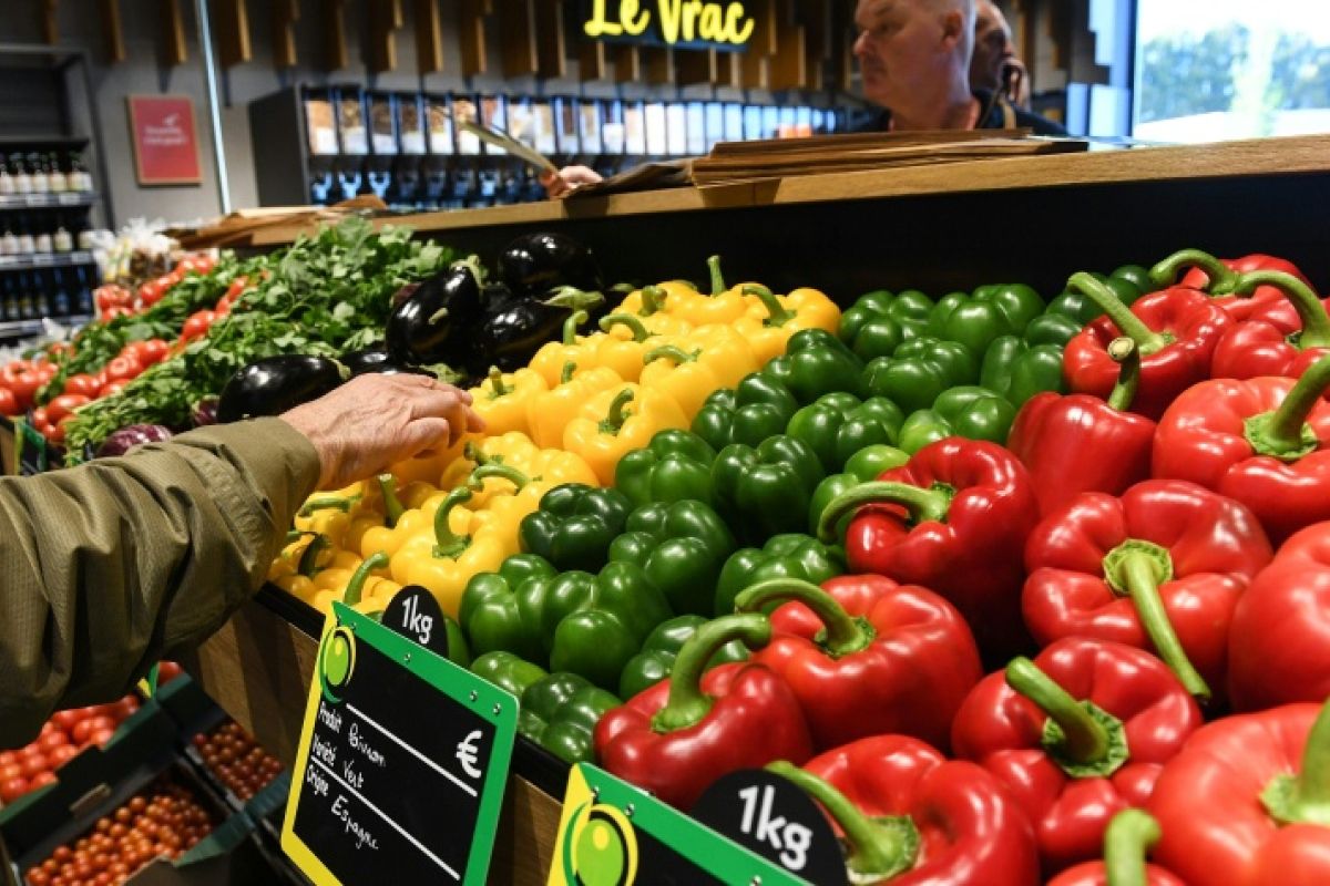 Le bio retrouve des couleurs et les agriculteurs reviennent
