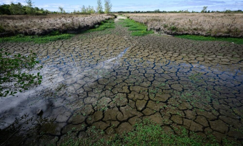 Presque pas une goutte de pluie, la France s'enfonce dans une sécheresse record