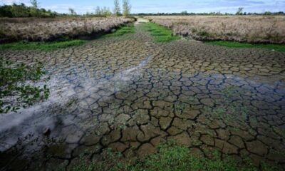 Presque pas une goutte de pluie, la France s'enfonce dans une sécheresse record