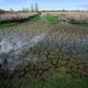 Presque pas une goutte de pluie, la France s'enfonce dans une sécheresse record
