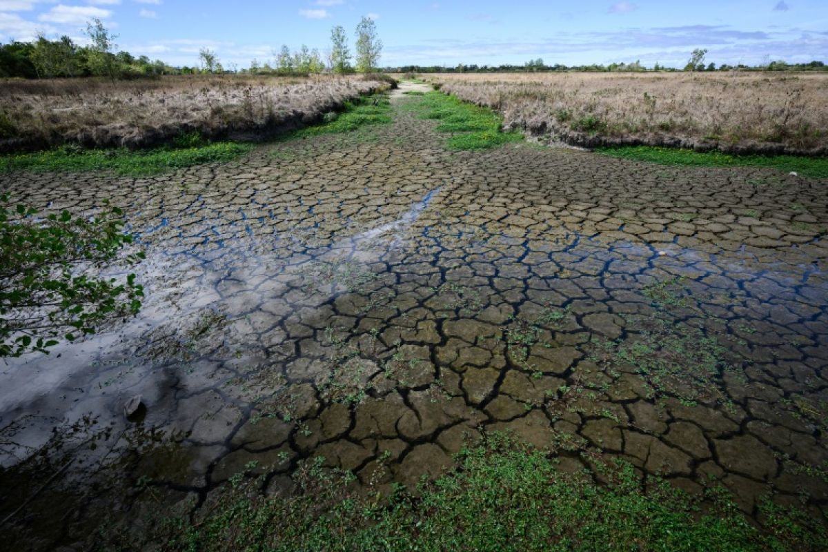 Presque pas une goutte de pluie, la France s'enfonce dans une sécheresse record