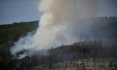 Le brasier de Puilaurens est fixé après 225 hectares, le château de l'Unesco est épargné