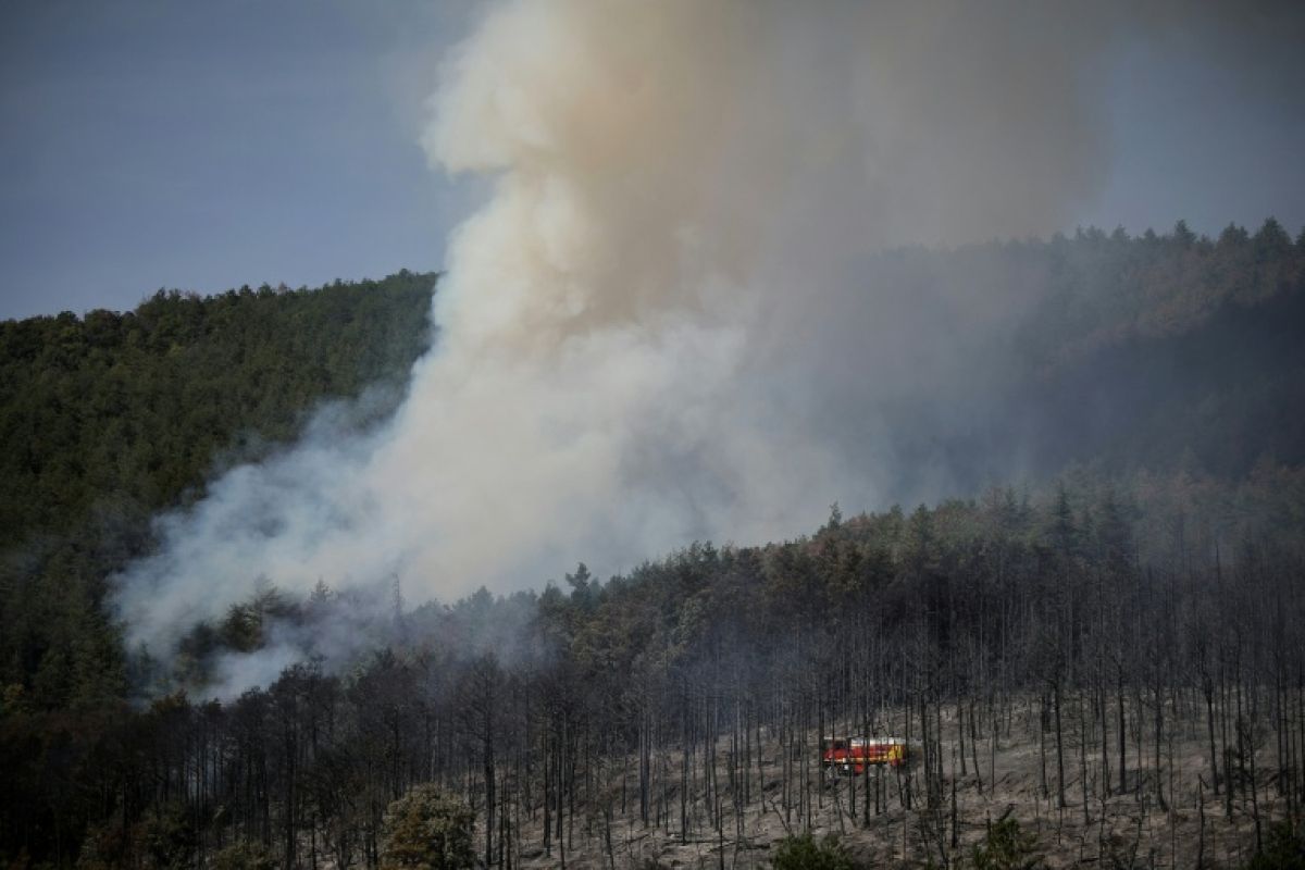 Le brasier de Puilaurens est fixé après 225 hectares, le château de l'Unesco est épargné