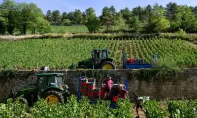 Le vin français n’avait pas été si rare depuis 1957