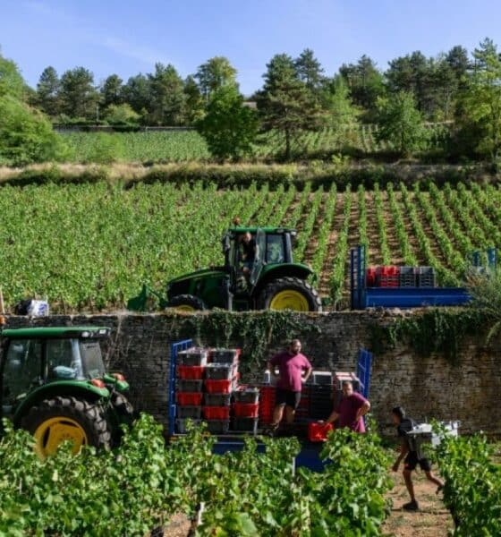 Le vin français n’avait pas été si rare depuis 1957
