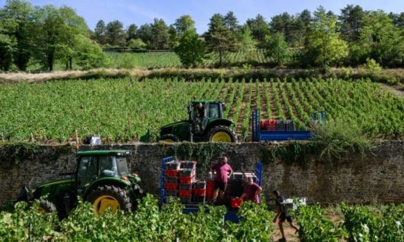 Le vin français n’avait pas été si rare depuis 1957