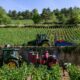 Le vin français n’avait pas été si rare depuis 1957