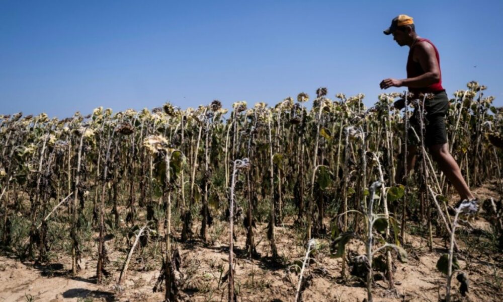 Le dépassement des 1,5°C est programmé, l'ONU se tourne vers la gestion du réchauffement