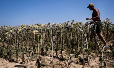 Le dépassement des 1,5°C est programmé, l'ONU se tourne vers la gestion du réchauffement