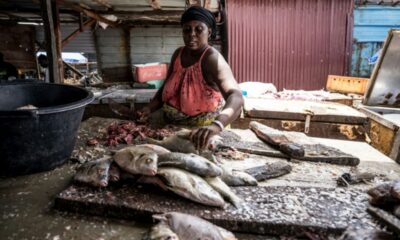 Gambie, un pays qui s'éteint et une colère qui s'allume