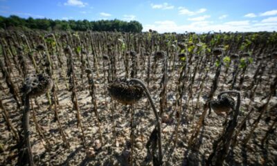 L'automne arrive avec 34 degrés et des sols plus secs que jamais