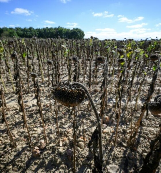 L'automne arrive avec 34 degrés et des sols plus secs que jamais