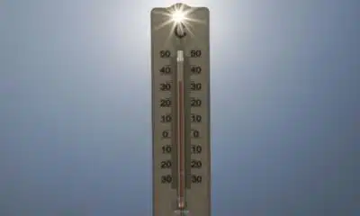 Canicule de septembre, six départements en alerte avant un rafraîchissement net mercredi