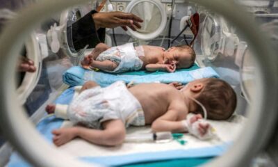 À Gaza, jusqu'à trois nouveau-nés partagent une couveuse prévue pour un seul