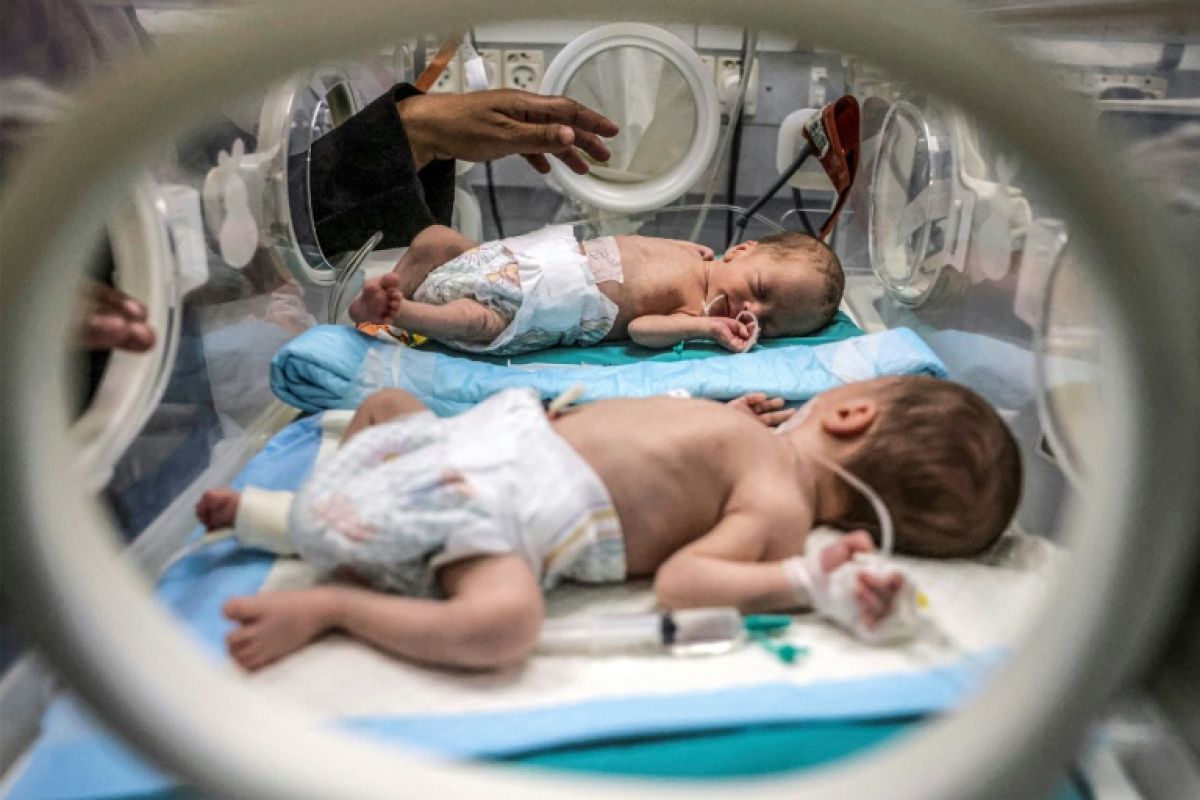 À Gaza, jusqu'à trois nouveau-nés partagent une couveuse prévue pour un seul