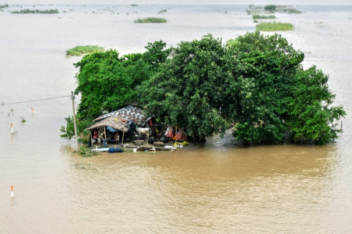 Cinq millions de personnes submergées par les eaux dans l'est de l'Inde