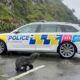Un phoque s'invite sur une route de Wellington, la police le ramène à l'eau