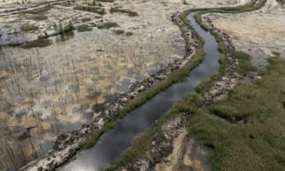 L'ambre ukrainien redevient une proie facile pour les réseaux clandestins