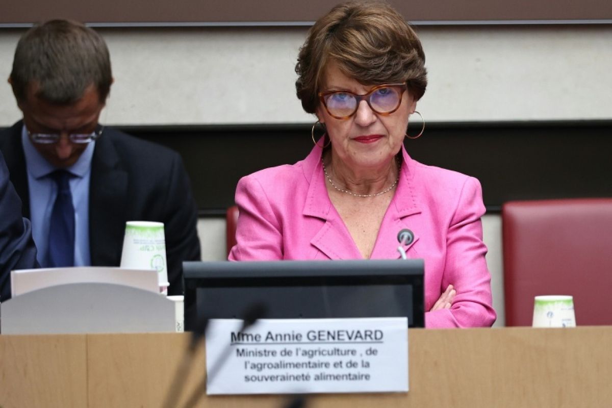 Sécheresse, l'État promet plus de 1,3 milliard d'euros aux agriculteurs