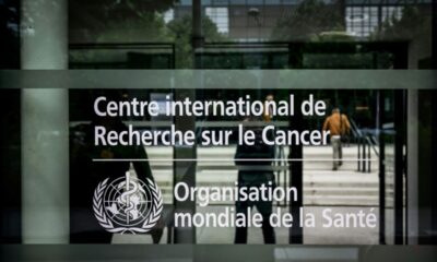 Un cancer sur huit dans le monde naît d'une infection