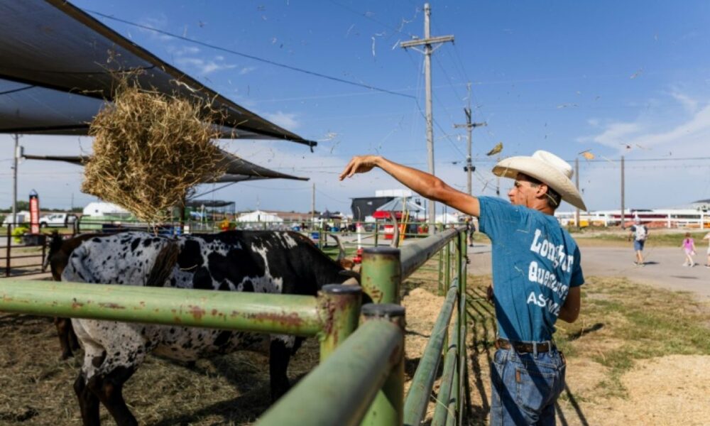 Nebraska, la guerre qui dure et les factures qui grimpent