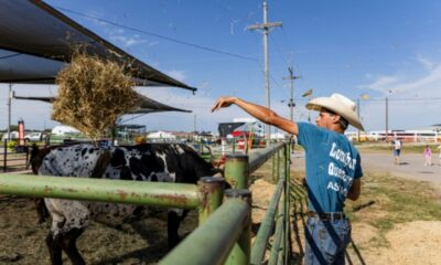 Nebraska, la guerre qui dure et les factures qui grimpent
