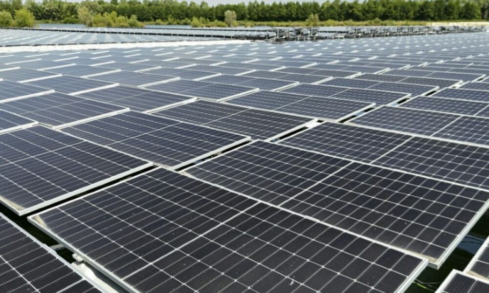 L'éolien et le solaire font-ils vraiment baisser votre facture d'électricité ?
