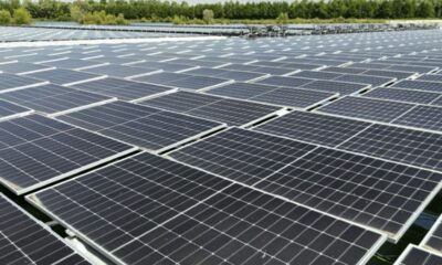 L'éolien et le solaire font-ils vraiment baisser votre facture d'électricité ?