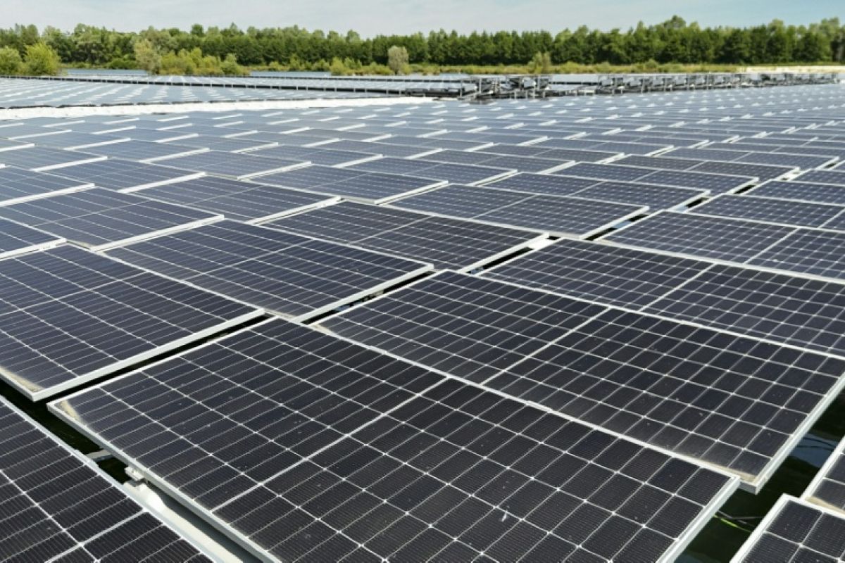 L'éolien et le solaire font-ils vraiment baisser votre facture d'électricité ?