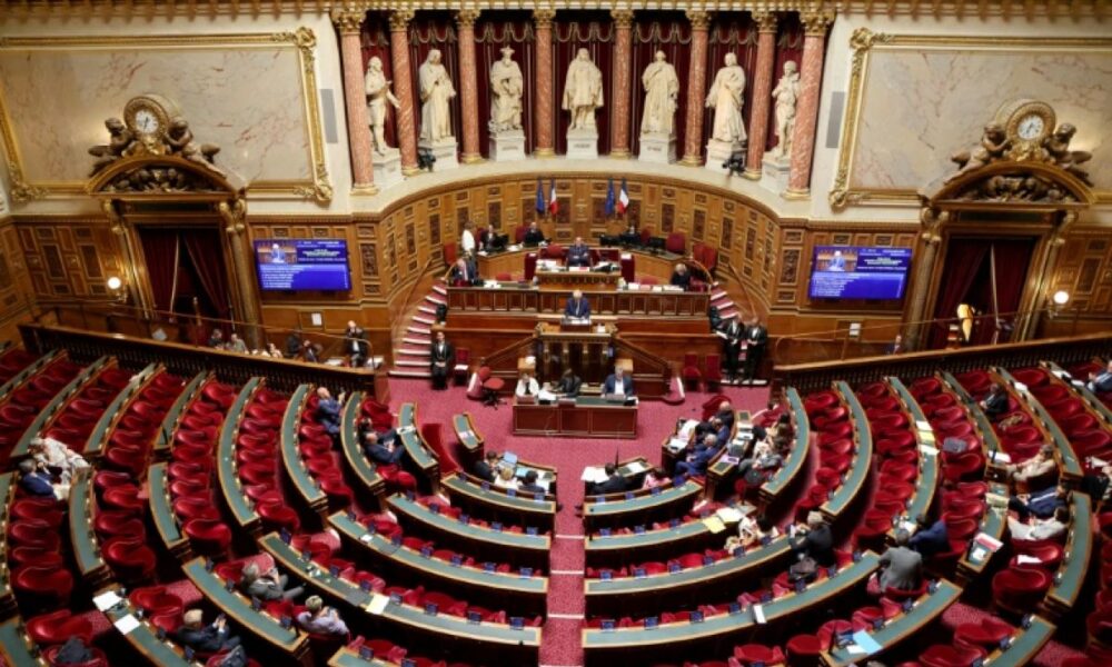 Au Sénat, le Rassemblement national veut briser la mainmise de la droite