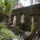 Sur les traces d'un bagnard oublié, une descendante traverse l'Atlantique pour lui rendre son nom