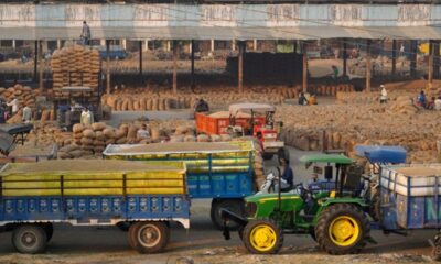 Le riz indien manque d'eau et la récolte s'annonce en net recul