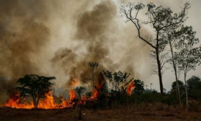 El Niño serre l'étau, des fumées de Bornéo aux coupures de courant en Birmanie