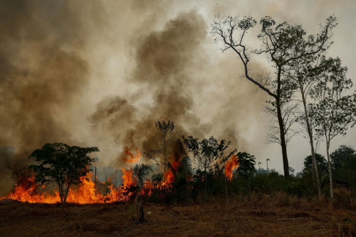 El Niño serre l'étau, des fumées de Bornéo aux coupures de courant en Birmanie
