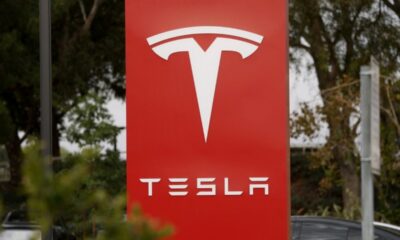 Tesla tient bon malgré un bénéfice en recul et une fusion avec SpaceX en ligne de mire