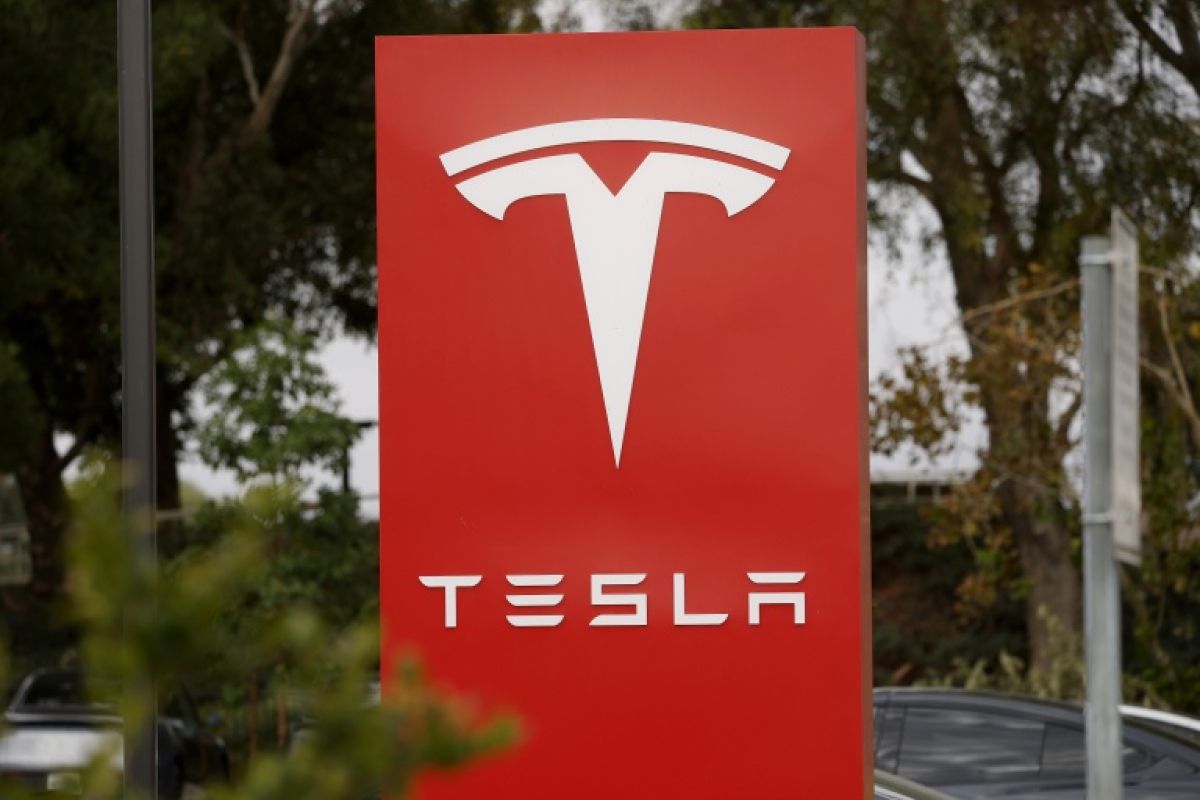 Tesla tient bon malgré un bénéfice en recul et une fusion avec SpaceX en ligne de mire